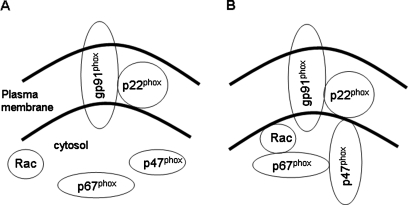 FIG. 1.