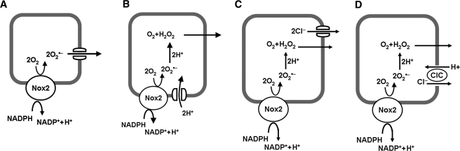 FIG. 3.