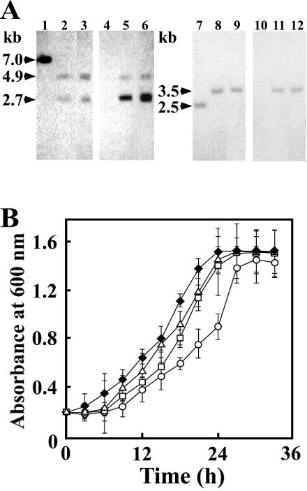 FIG. 5.