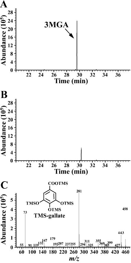 FIG. 7.