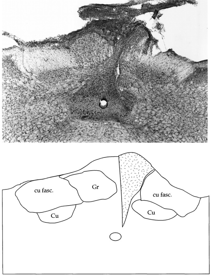 Fig. 9.