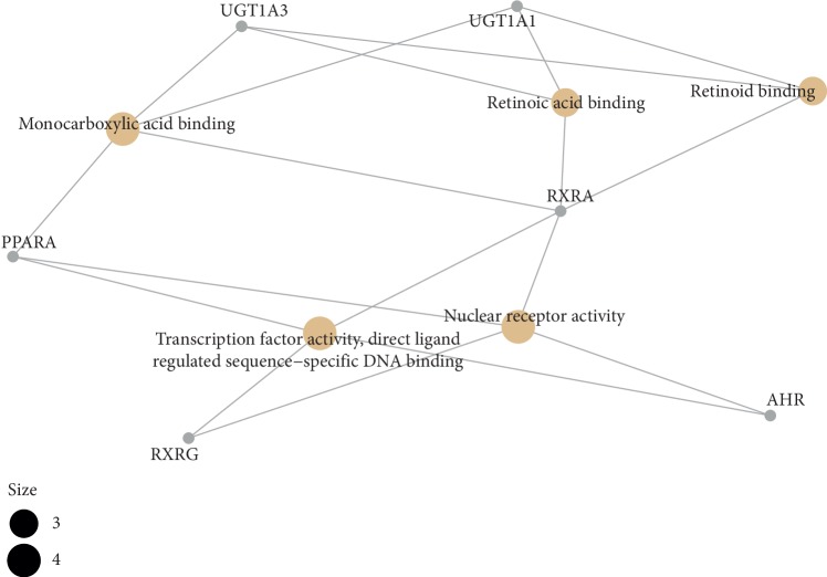 Figure 12