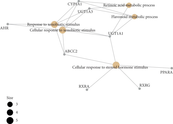 Figure 11