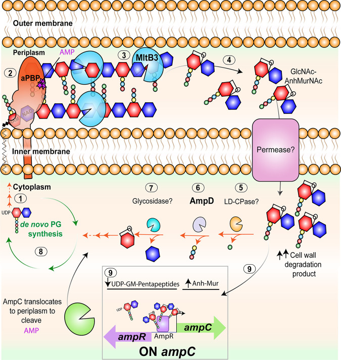 FIG 6