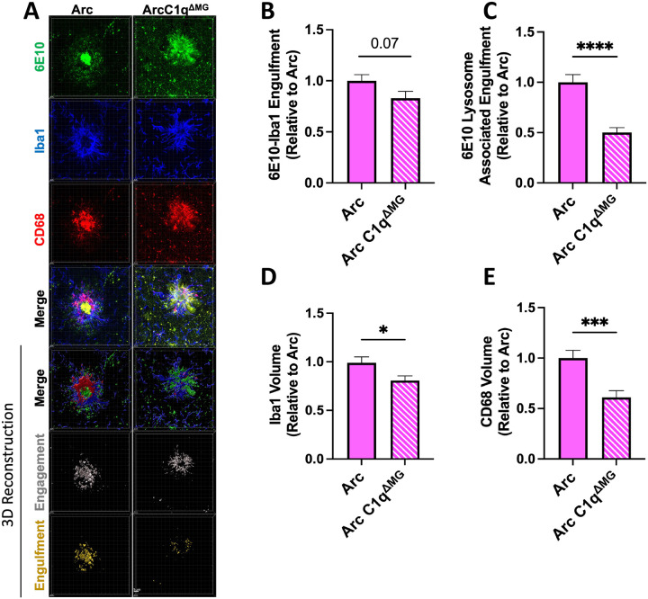 Figure 6: