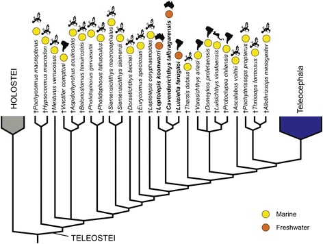 Fig. 6