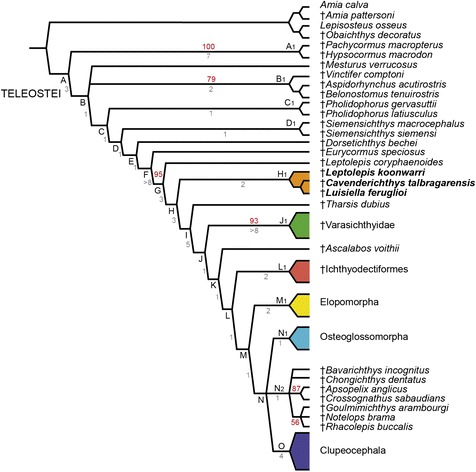 Fig. 2