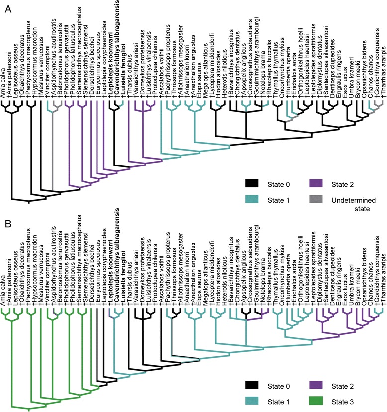 Fig. 3