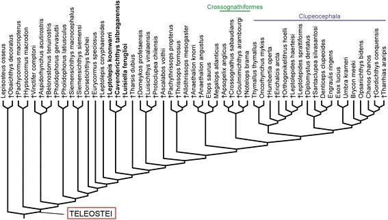 Fig. 7