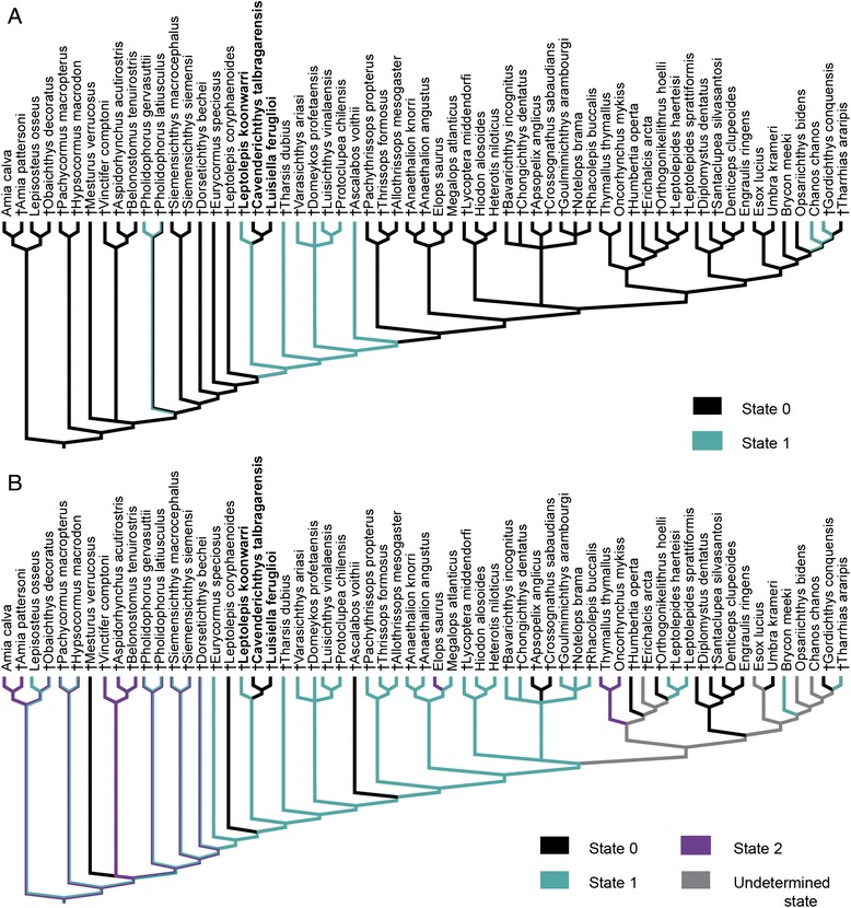 Fig. 4