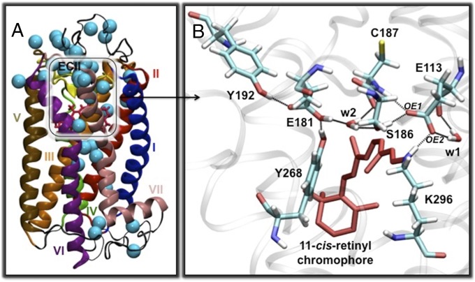 Fig. 4.