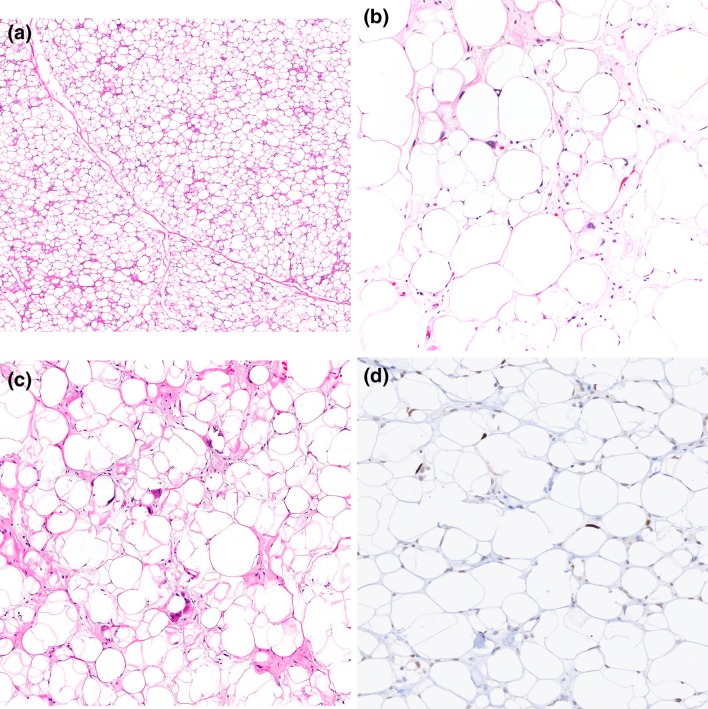 Fig. 6