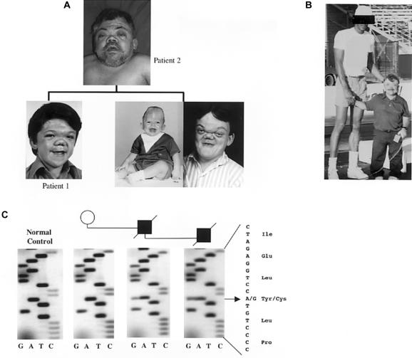 Figure  1