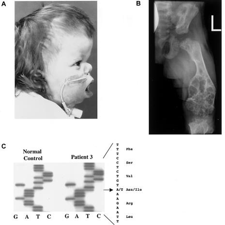 Figure  2