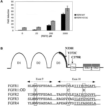 Figure  4