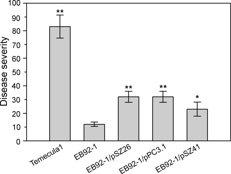 Fig 5