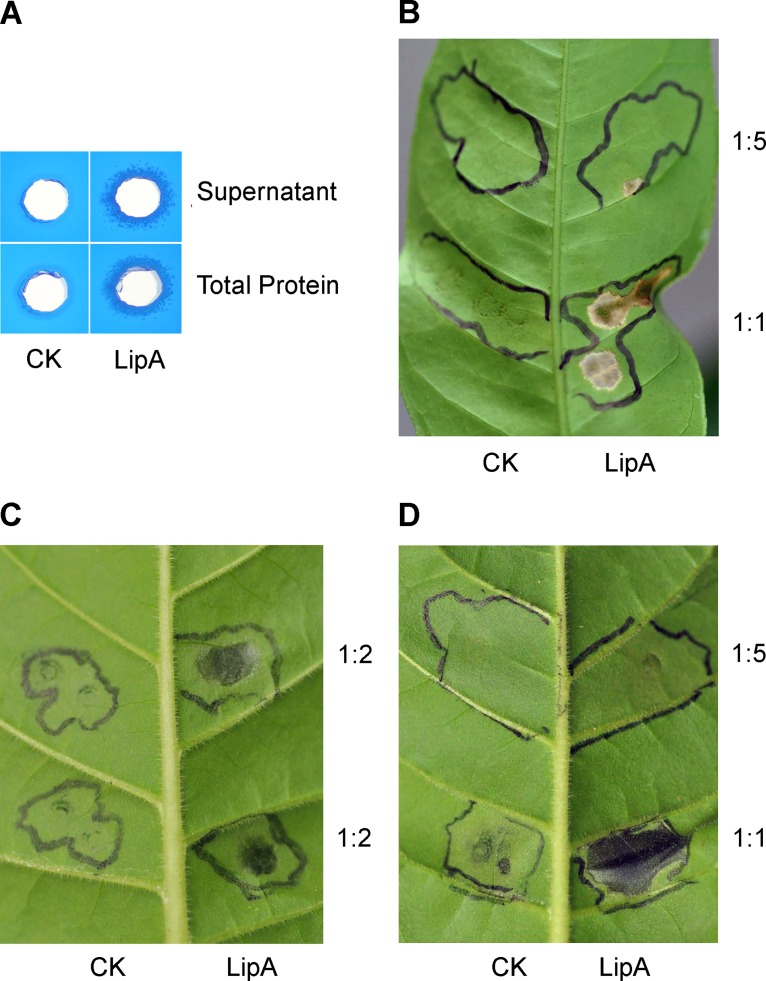 Fig 3