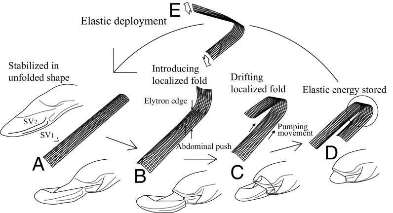 Fig. 4.