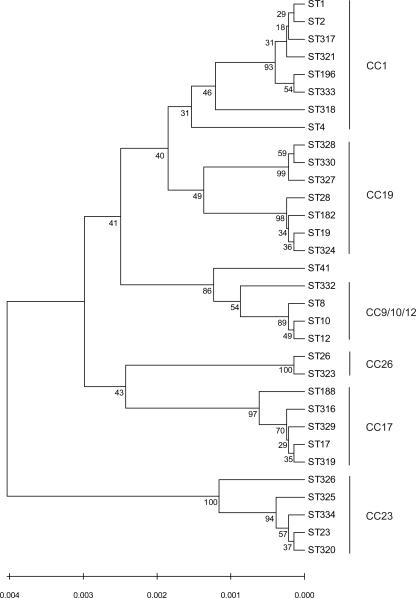 FIG. 1.