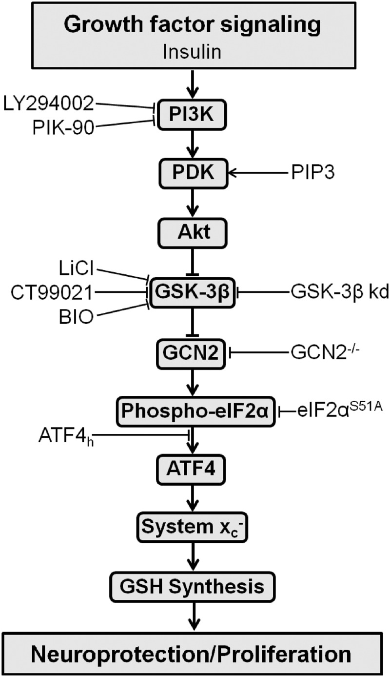 FIG. 9.