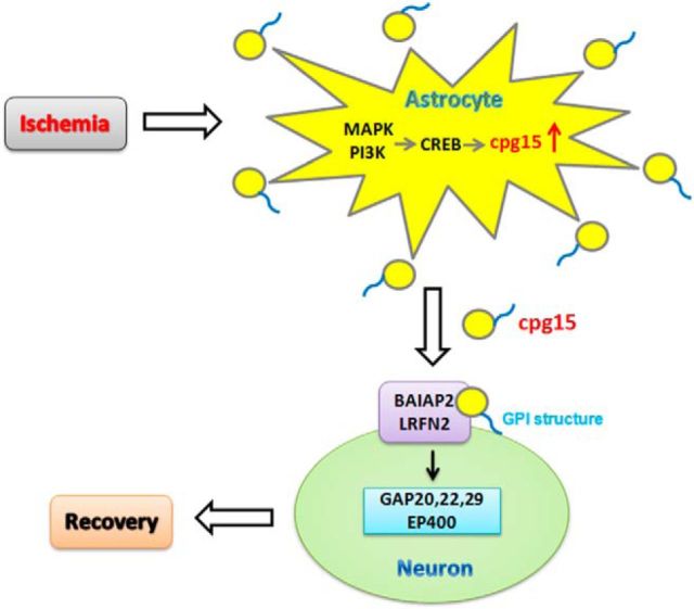 Figure 13.