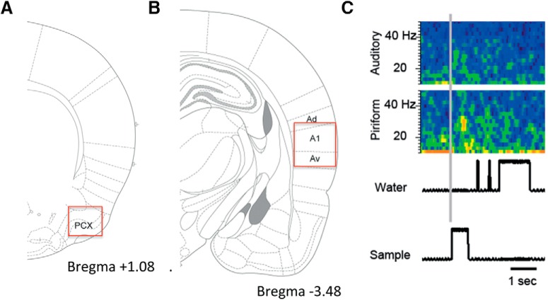 Figure 2.