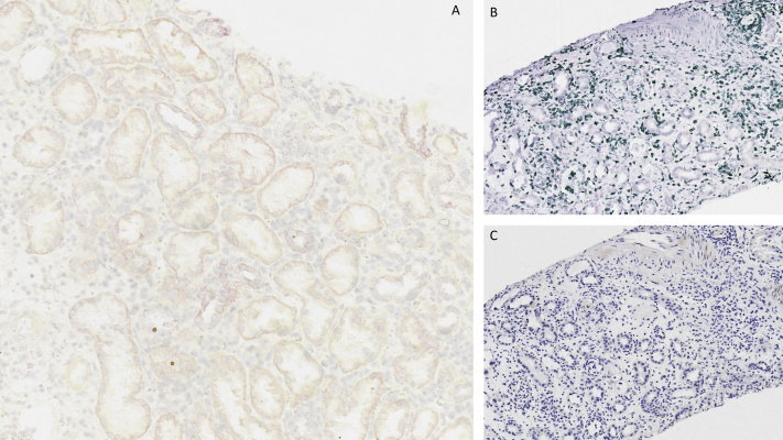 Figure 2