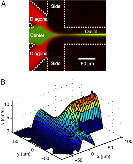 Fig. 1.