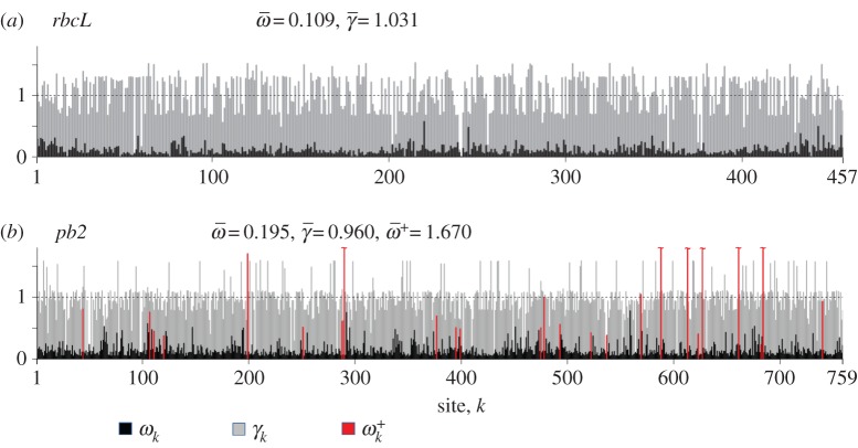 Figure 1.