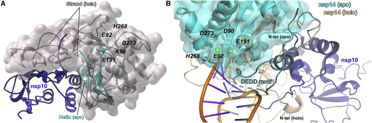 Figure 2