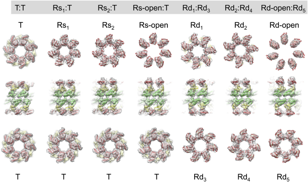 Figure 2