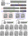 Figure S1