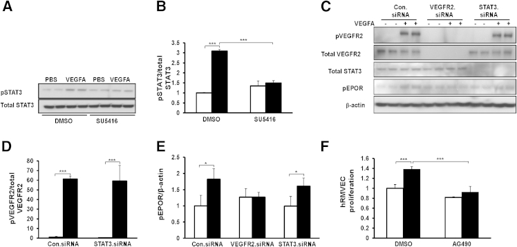 Figure 6