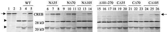 FIG. 7.