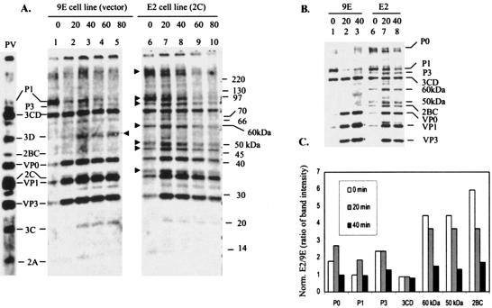 FIG. 10.