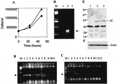 FIG. 9.