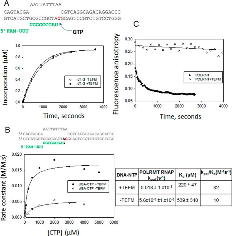 Figure 12.