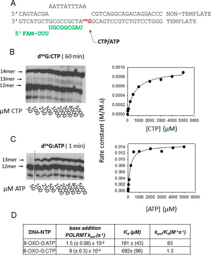 Figure 11.