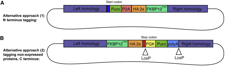 Figure 3