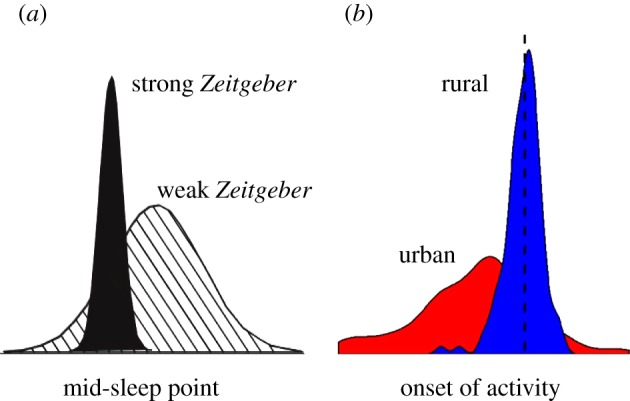 Figure 4.