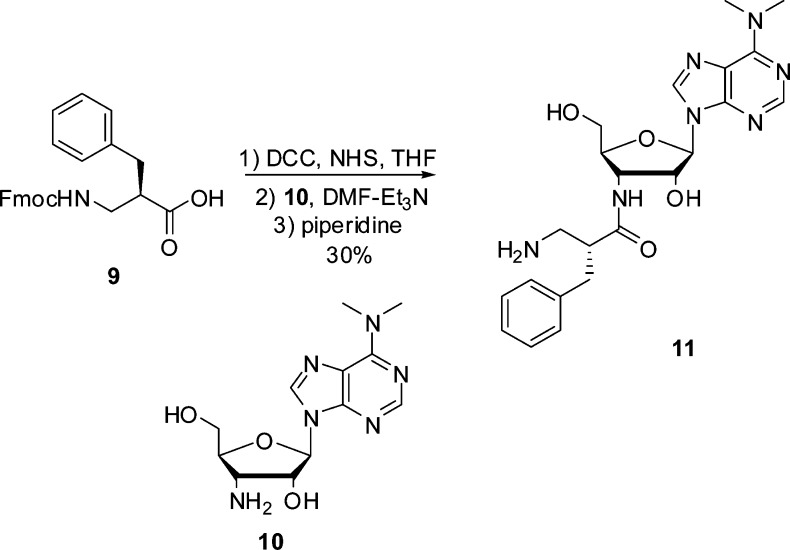 Scheme 2