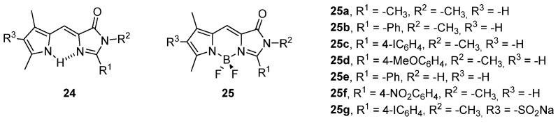 Figure 24