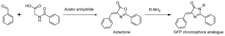 Scheme 1