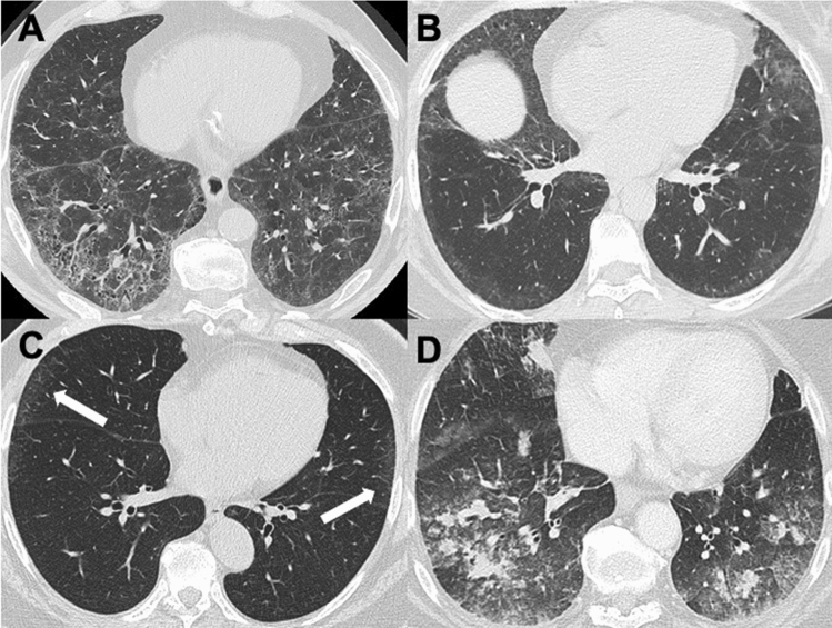 Fig. 7