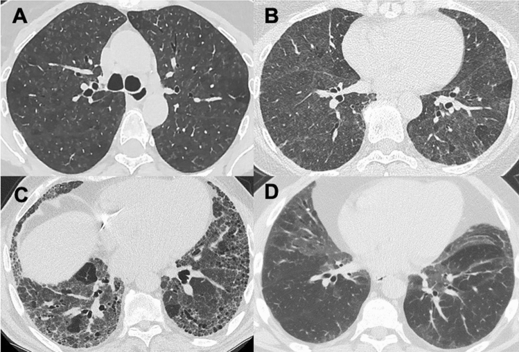 Fig. 8