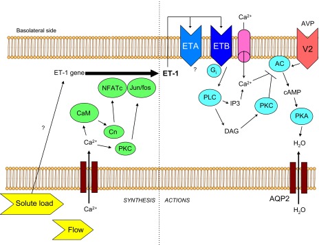 Fig. 3.