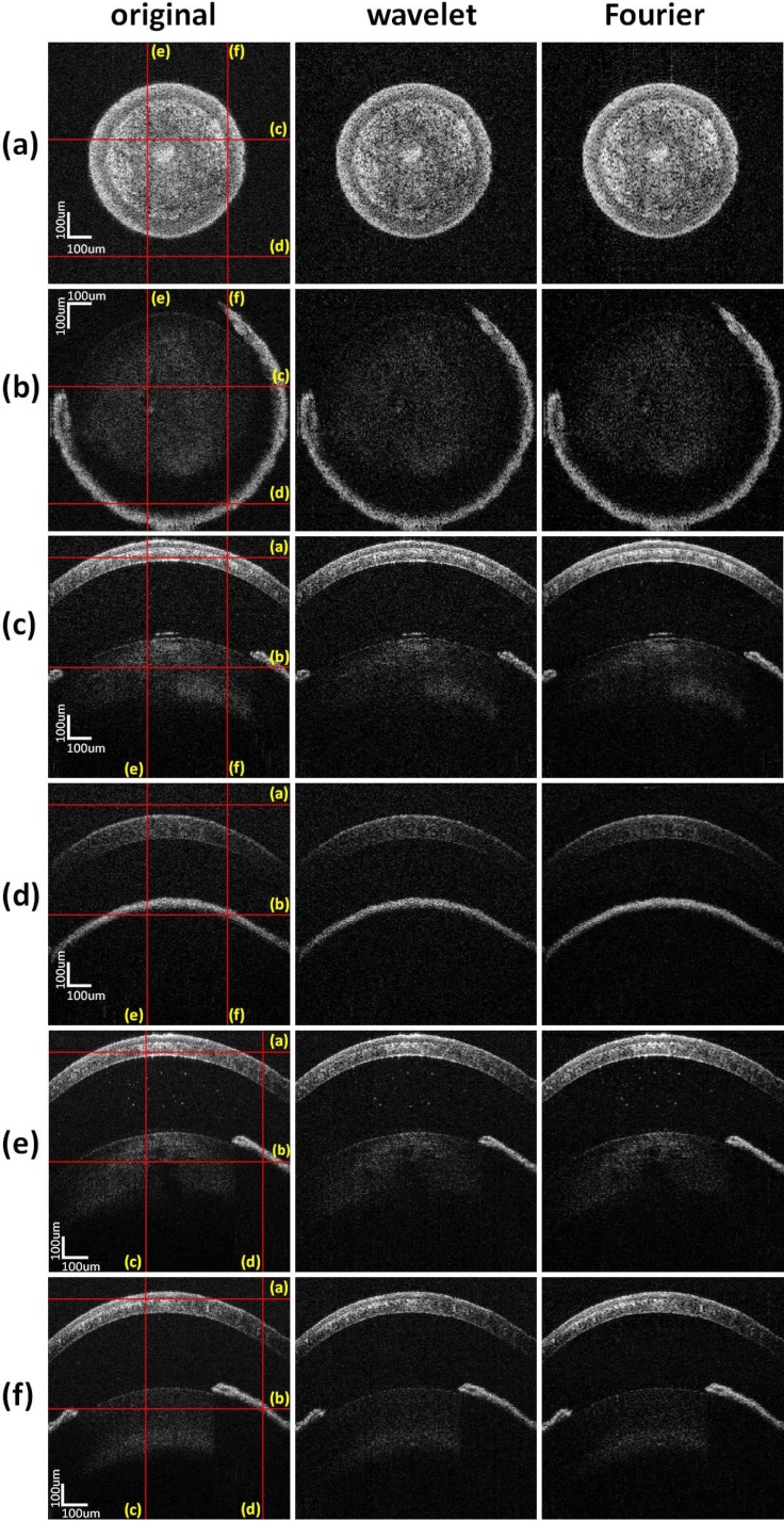 Fig. 6