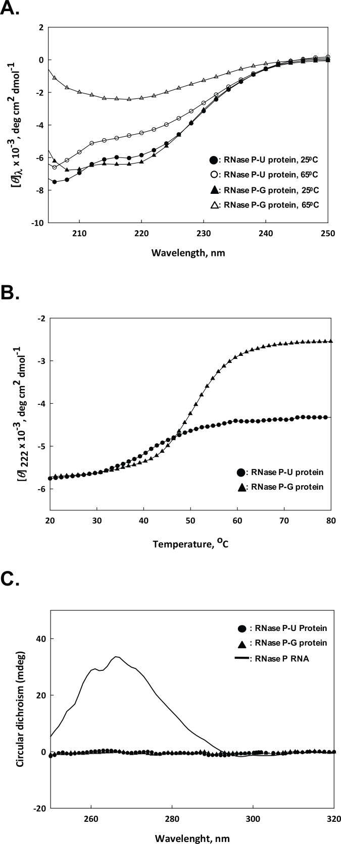 Fig 7