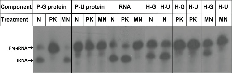 Fig 5