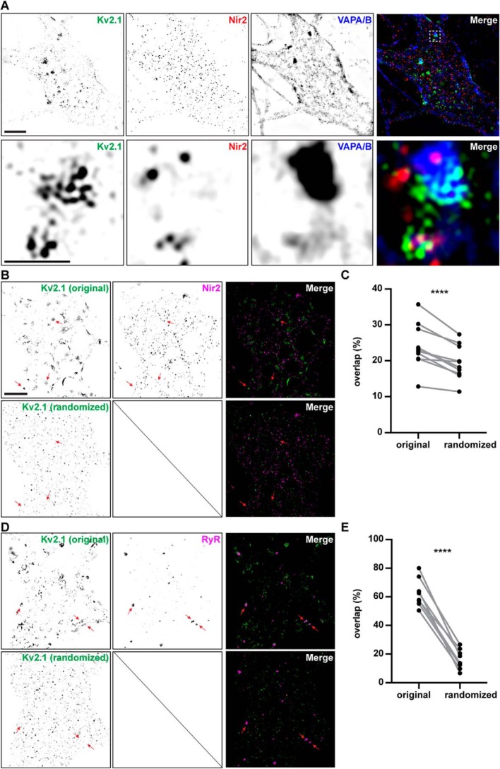 Figure 6.